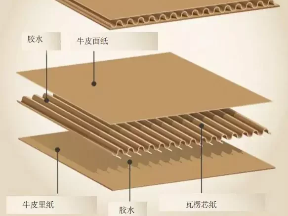 3分钟读懂华体会平台!与瓦楞纸箱的优劣对决插图3 3分钟读懂华体会平台!与瓦楞纸箱的优劣对决插图3