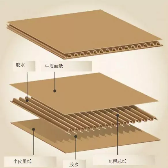 3分钟读懂华体会平台!与瓦楞纸箱的优劣对决插图1 3分钟读懂华体会平台!与瓦楞纸箱的优劣对决插图1