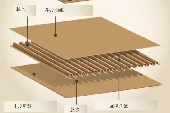 华体会平台:重新定义好包装的底层逻辑,让品牌赢在3秒决策期插图4 华体会平台:重新定义好包装的底层逻辑,让品牌赢在3秒决策期插图4